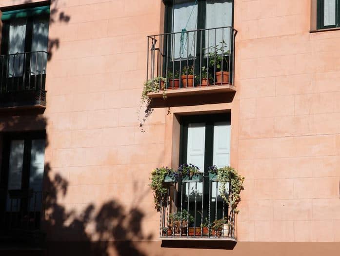 örökzöld balkon növények