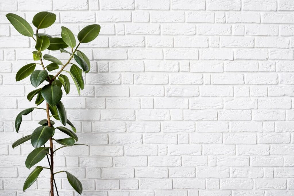 praktikus, kényelmes, és sokszor pont elég.