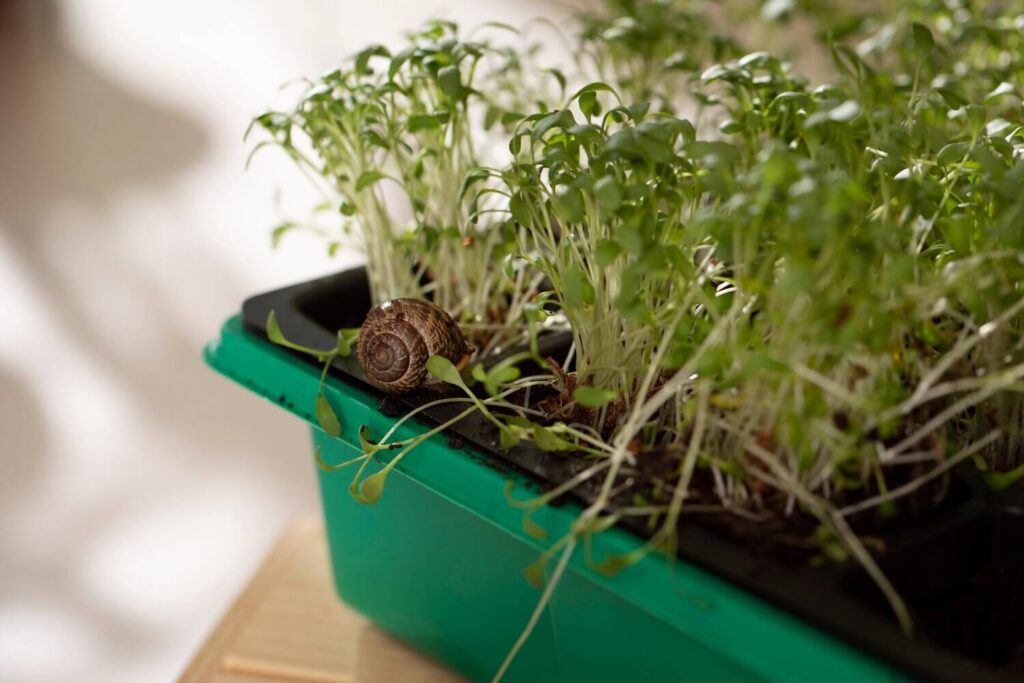 Mi kerüljön egybe, és mi ne