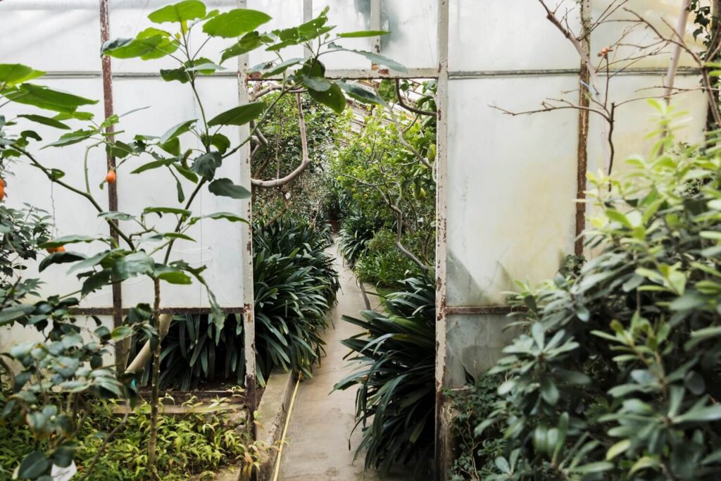 Szellőztetés: itt bukik el a legtöbb próbálkozás