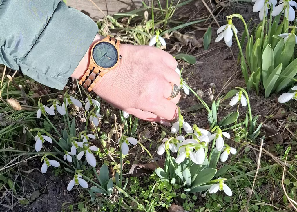 Fotósorozat, amely az EverWood óra viselését szemlélteti: egy női kéz eukaliptusz ágat tart az óra mellett, egy közeli kép a számlapról, és egy kép, ahol az óra egy zöld ingujjal és fűvel a háttérben látszik